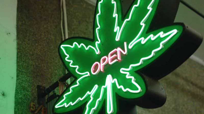 Neon Open cannabis sign