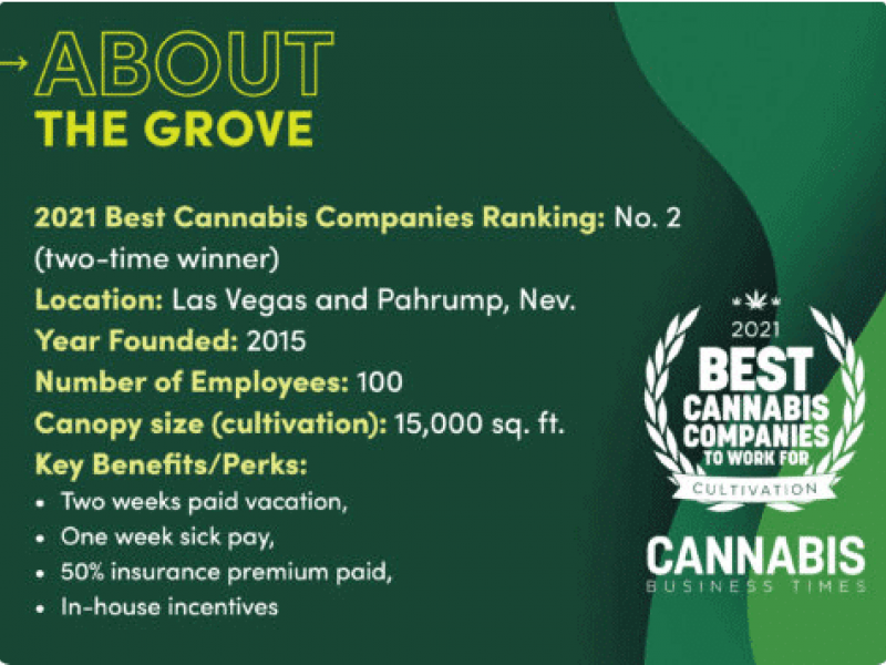 Best Cannabis Company to Work