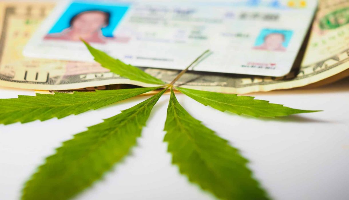 driver's license and cannabis leaf